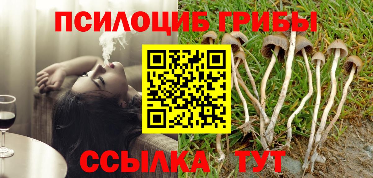Киреевск  Галлюциногенные грибы Magic Shrooms  купить наркотик  Вход с VPN 